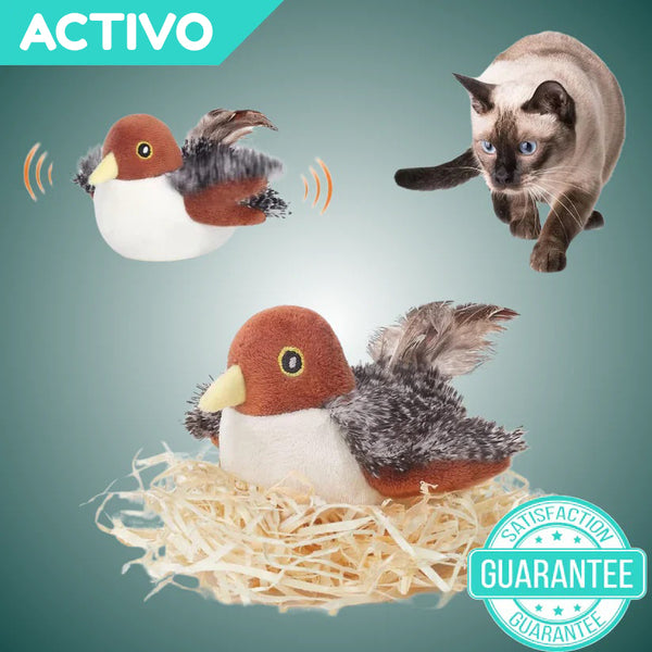 Birdie : Pajaro interactivo