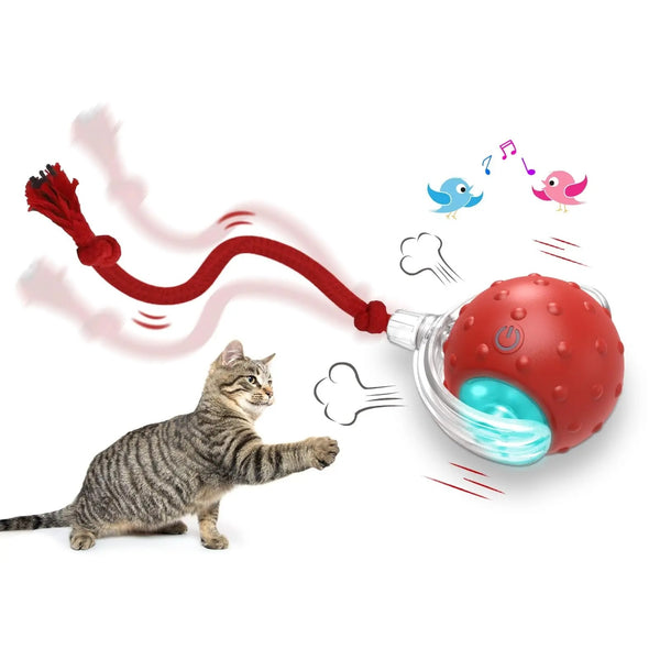 Pelota Interactiva