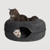 Cat Cueva
