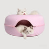 Cat Cueva