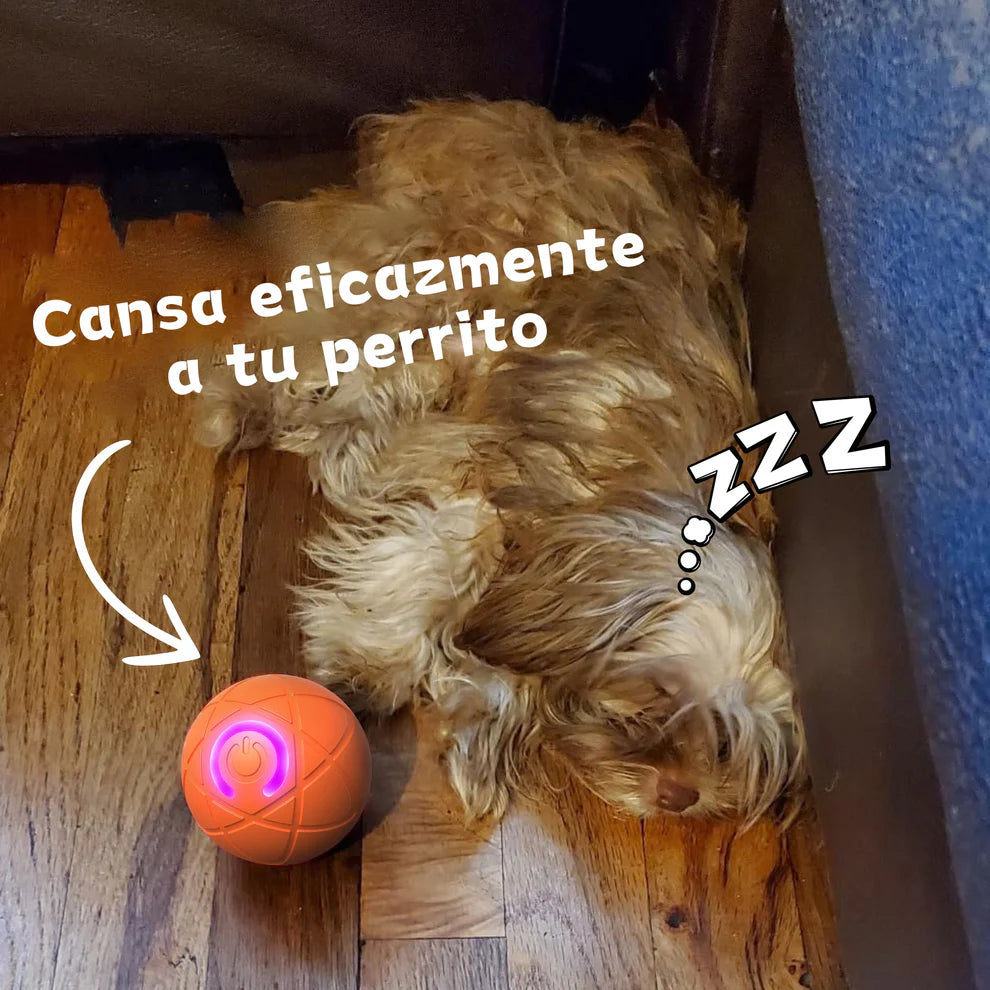 Pelota interactiva Jumpiball®