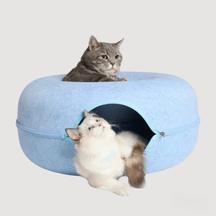 Cat Cueva