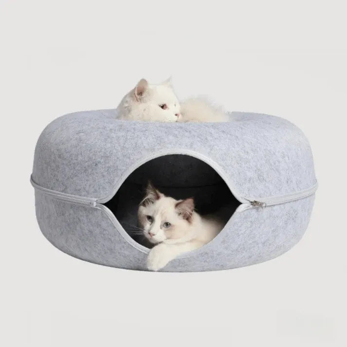 Cat Cueva