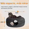 Cat Cueva