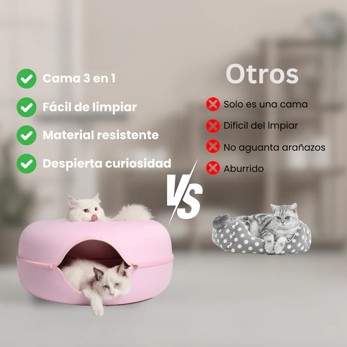 Cat Cueva