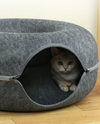 Cat Cueva