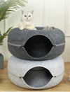 Cat Cueva
