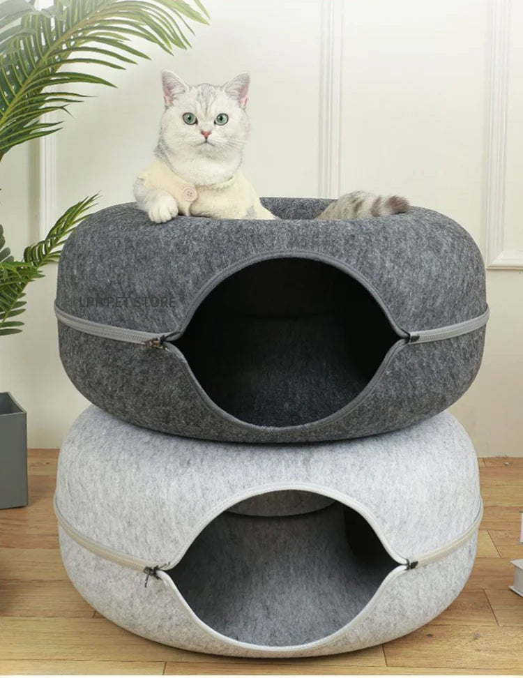 Cat Cueva