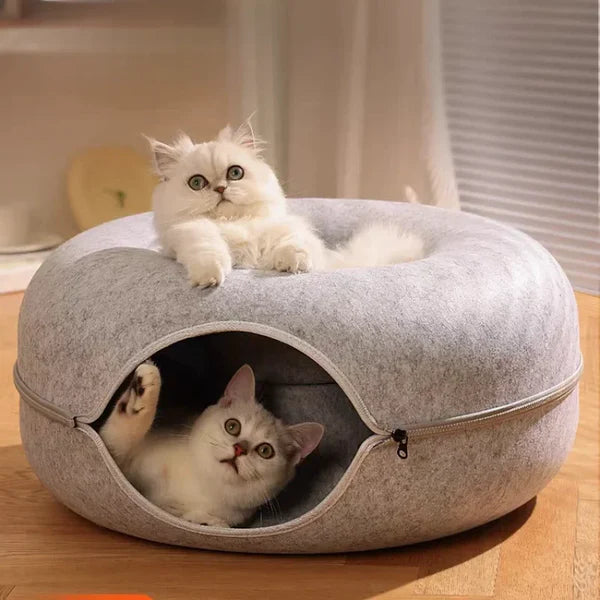 Cat Cueva