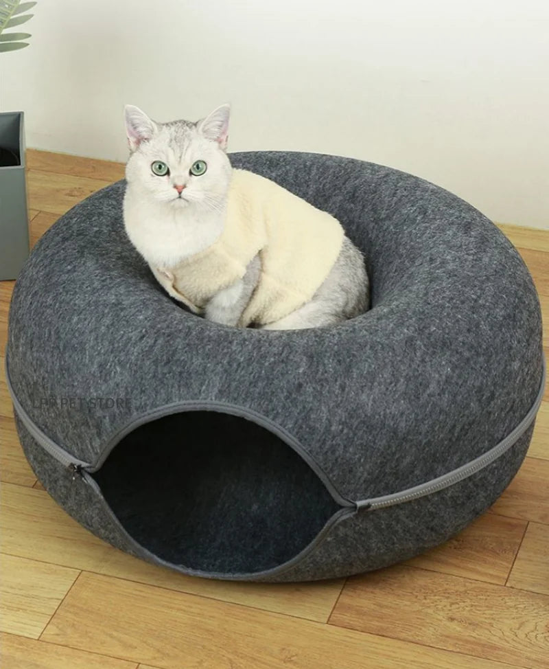 Cat Cueva