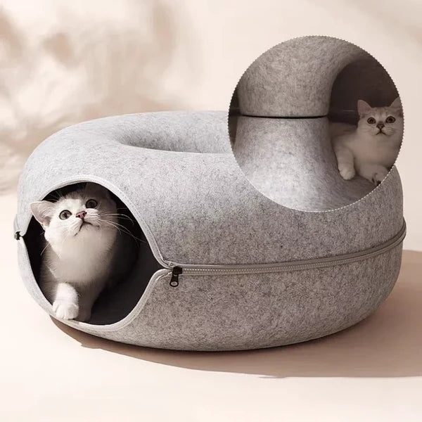 Cat Cueva